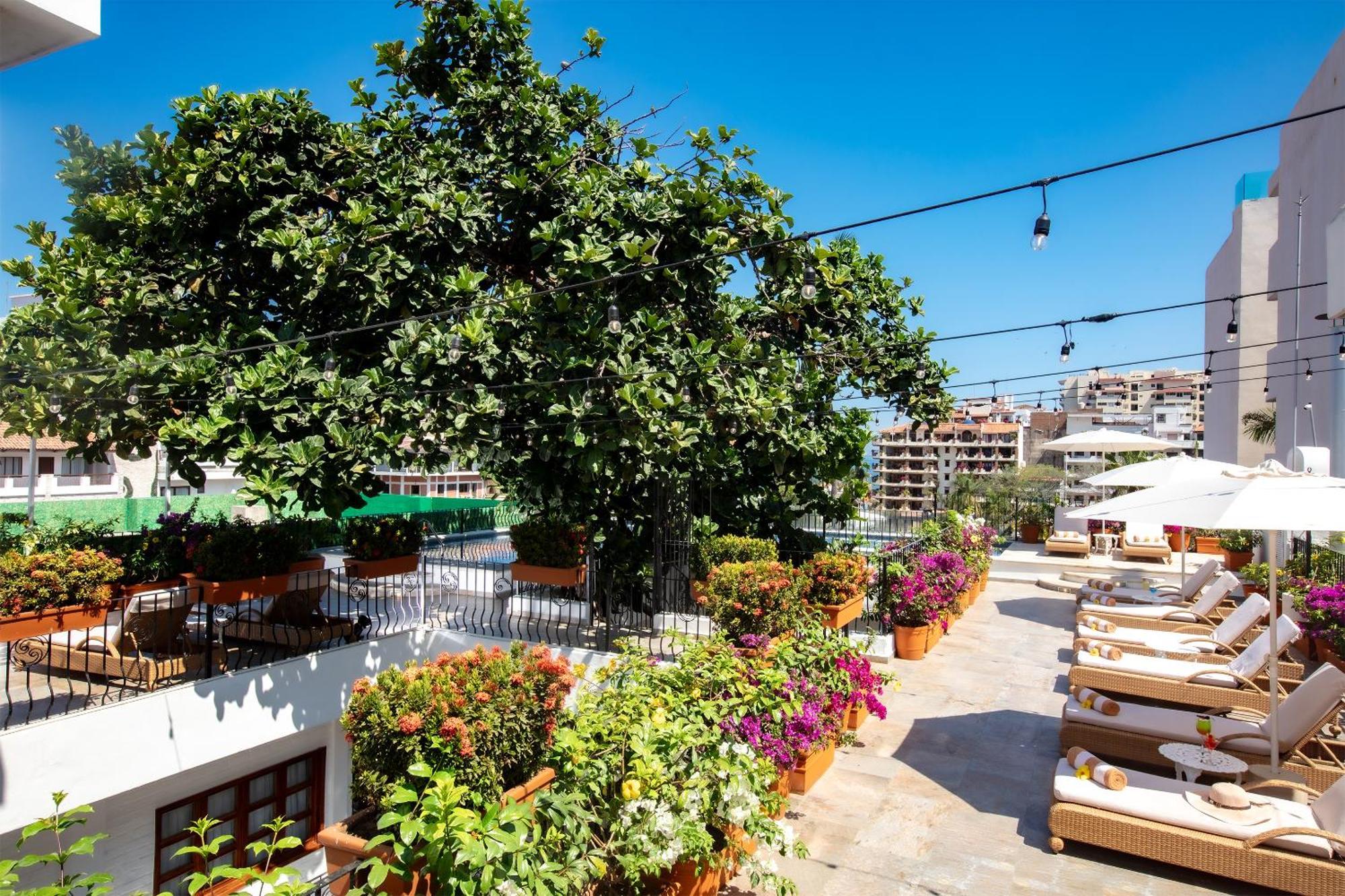 Casa Dona Susana (Adults Only) Пуерто-Вальярта Екстер'єр фото